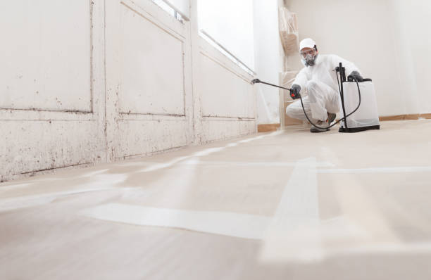 24/7 Emergency Attic Mold Removal experts in Jacksonville, OR