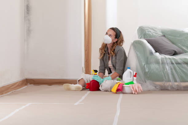 Reliable Attic Mold Removal contractor in Jacksonville, OR by WQB Mold Removal